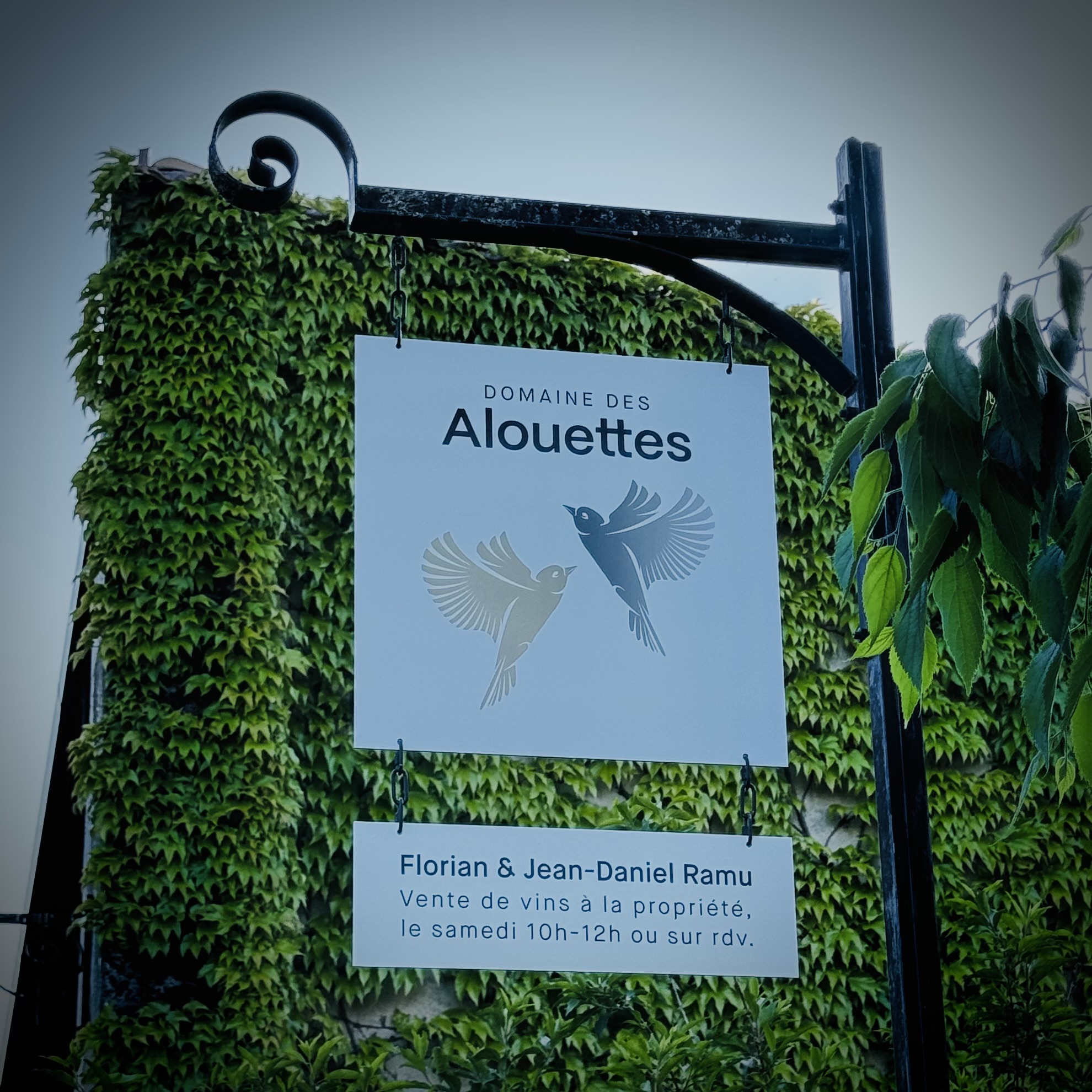 Caves Ouvertes 2024 | Domaine des Alouettes Caves Ouvertes 2024 | Domaine des Alouettes