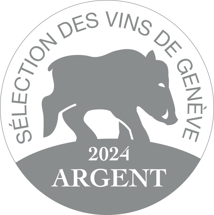 SVG 2024 | Macaron Argent