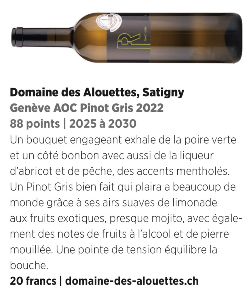 Vinum | Pinot Gris 2022 | Note de dégustation
